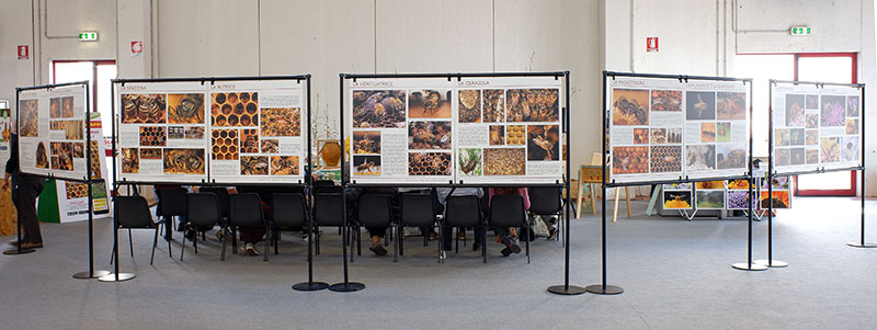 Mostra operaia
