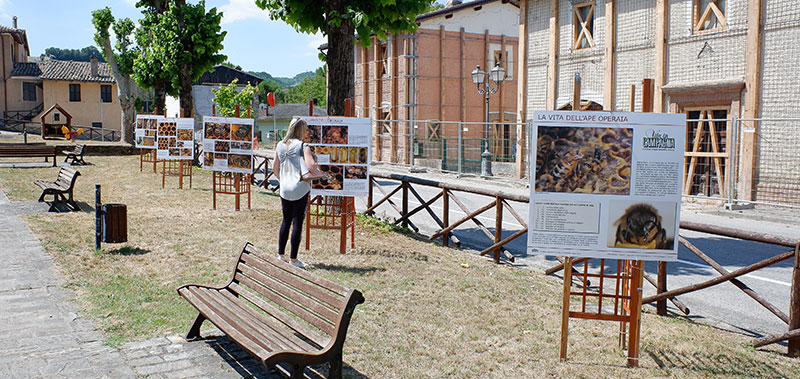 Mostra operaia