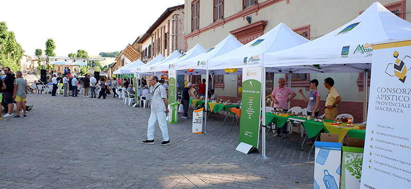 Festival