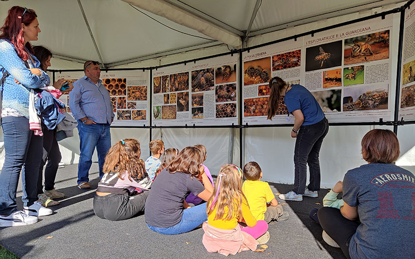 Mostra sull'ape operaia