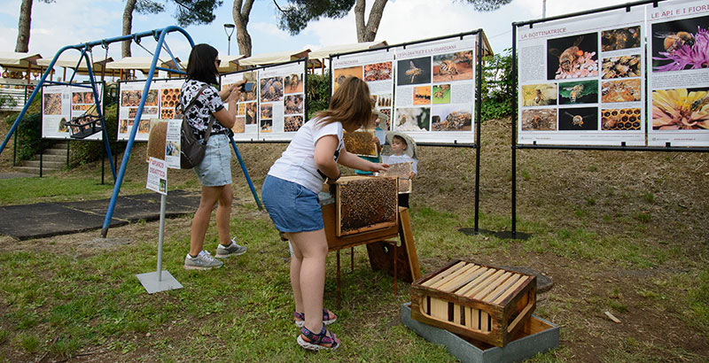 L'apiario didattico e la mostra sull'ape operaia
