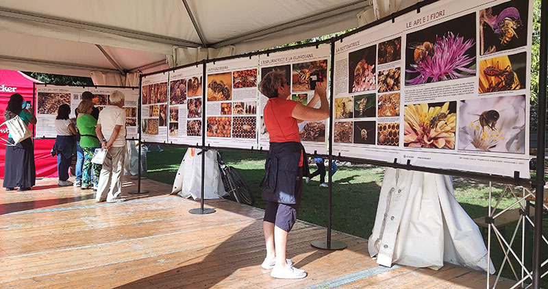 Mostra sull'ape operaia