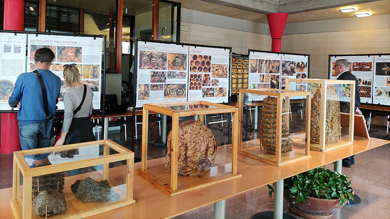 Esposizione nella sala consiliare.