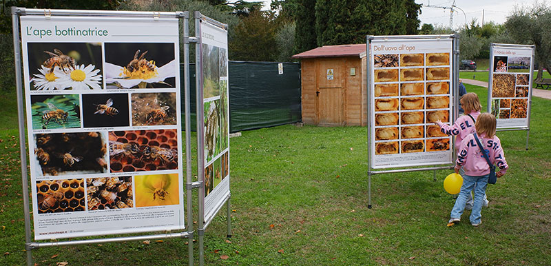 I poster sulla vita delle api esposti nel parco.
