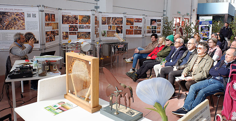 La lezione di apicoltura tenuta da Alessandro Pistoia.