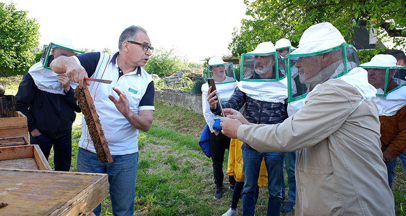 La visita in apiario.