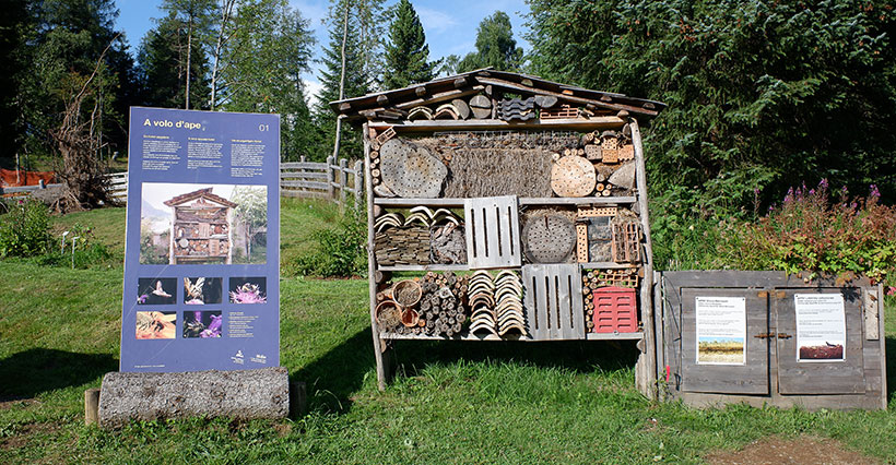 L'inizio del percorso di visita nei pressi del bug hotel