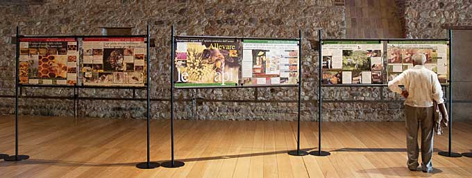 esposizione a Lazise