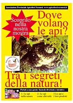 Dove volano le api? tra i segreti della natura