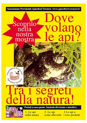 Dove volano le api? tra i segreti della natura
