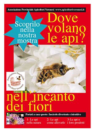 Dove volano le api? nell'incanto dei fiori