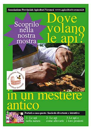 Dove volano le api? in un mestiere antico
